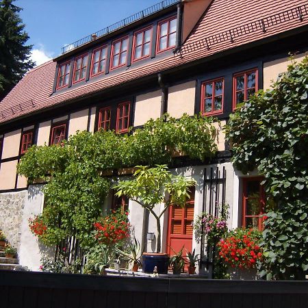 Vila Winzerhaus Rissweg 15 Drážďany Exteriér fotografie