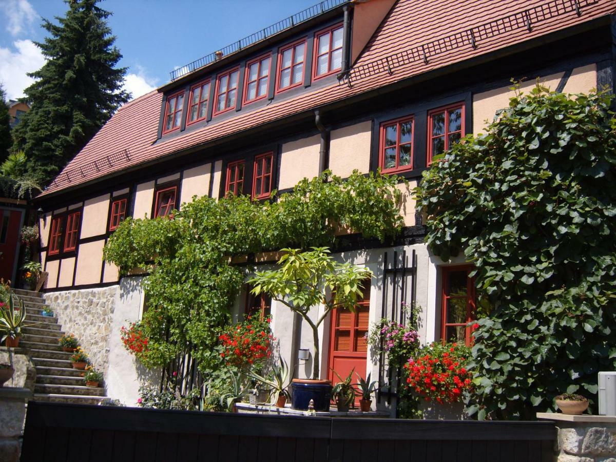 Vila Winzerhaus Rissweg 15 Drážďany Exteriér fotografie
