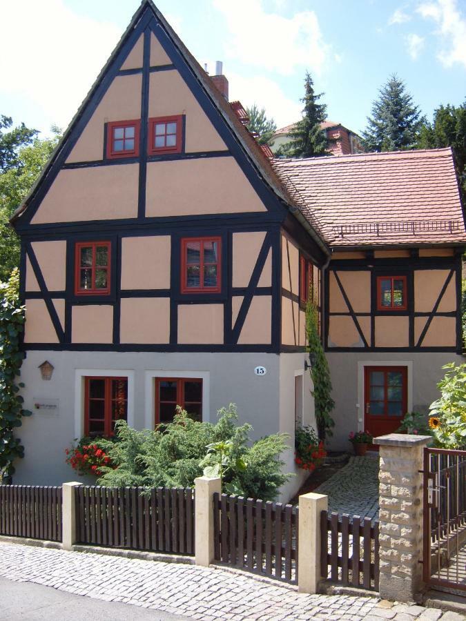 Vila Winzerhaus Rissweg 15 Drážďany Exteriér fotografie